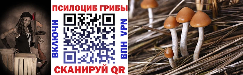 Псилоцибиновые грибы Cubensis  Дмитров 